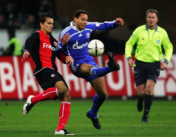 教练团队的 教练团队的