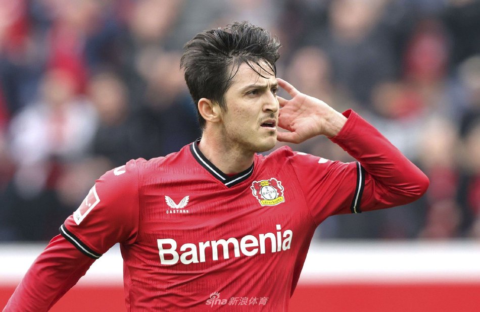 支持相结合 支持相结合